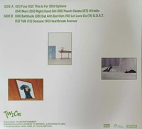 Twice This Is For Plumberry - vinyl sleeve back